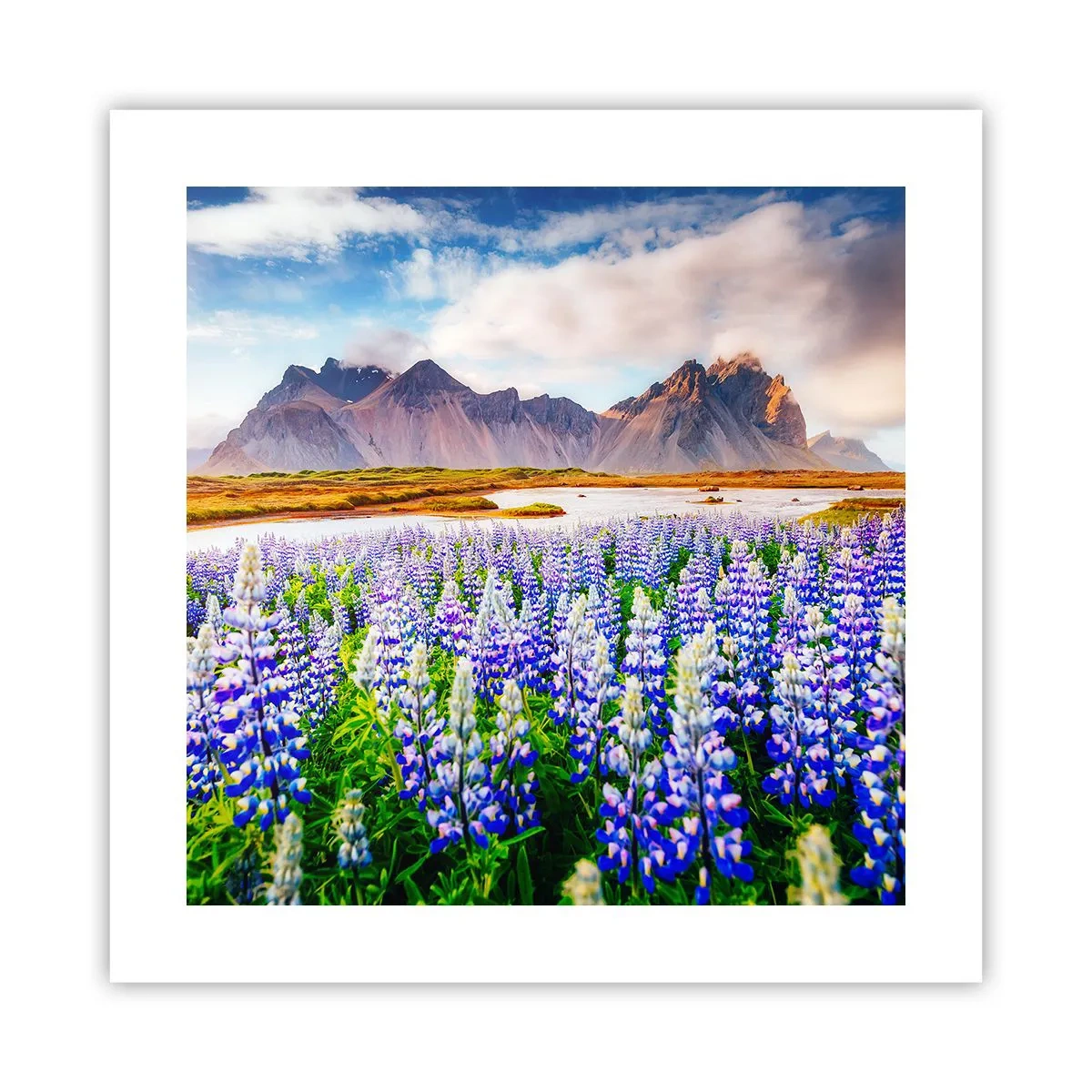 Pôster - Força e severidade ao lado da suavidade - 40x40 cm