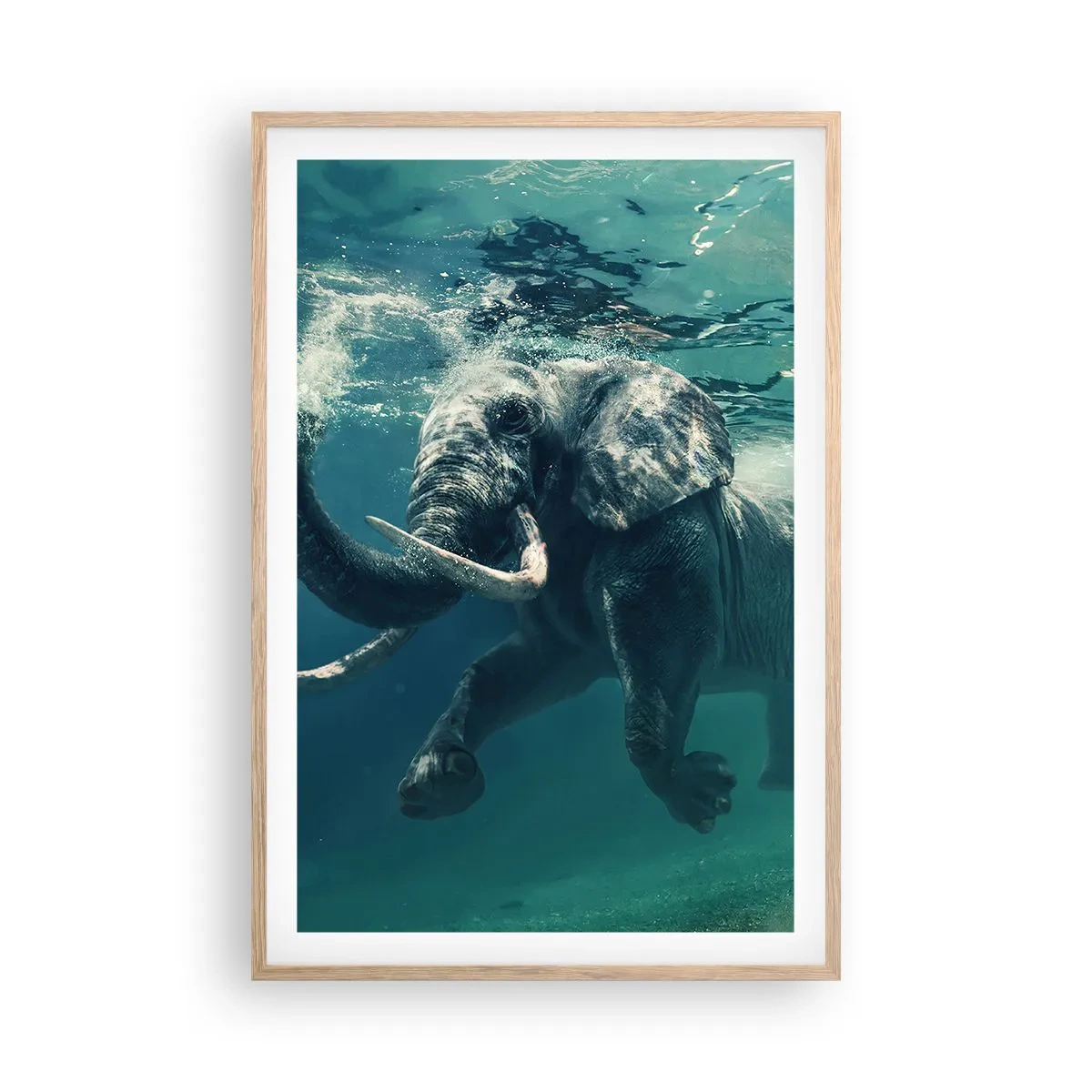 Pôster com moldura de carvalho claro - Todo mundo gosta de nadar - 61x91 cm