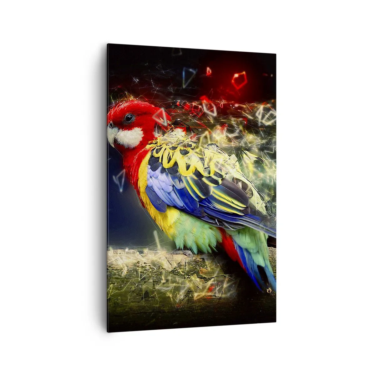 Quadro em tela - O mensageiro do Brilho - 80x120 cm
