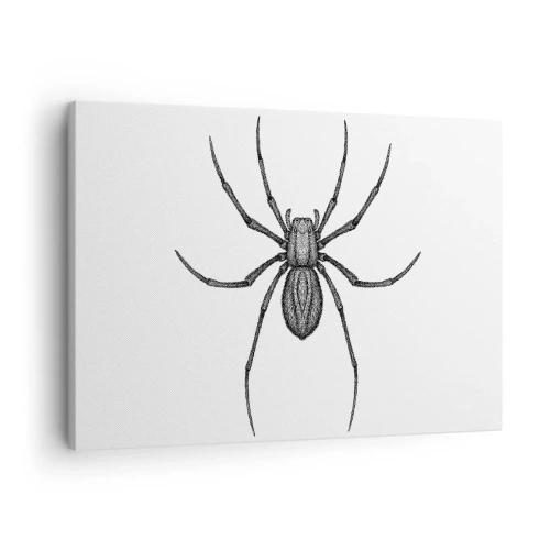 Quadro em tela - Detalhe de uma aranha em um fundo branco em estilo cartoon - 70x50cm - Precisão perturbadora - Decoração de parede moderna para a sala de estar e quarto ARTTOR