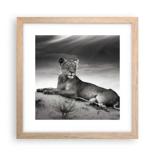 Pôster com moldura de carvalho claro - Descanso da Rainha do Deserto - 30x30 cm