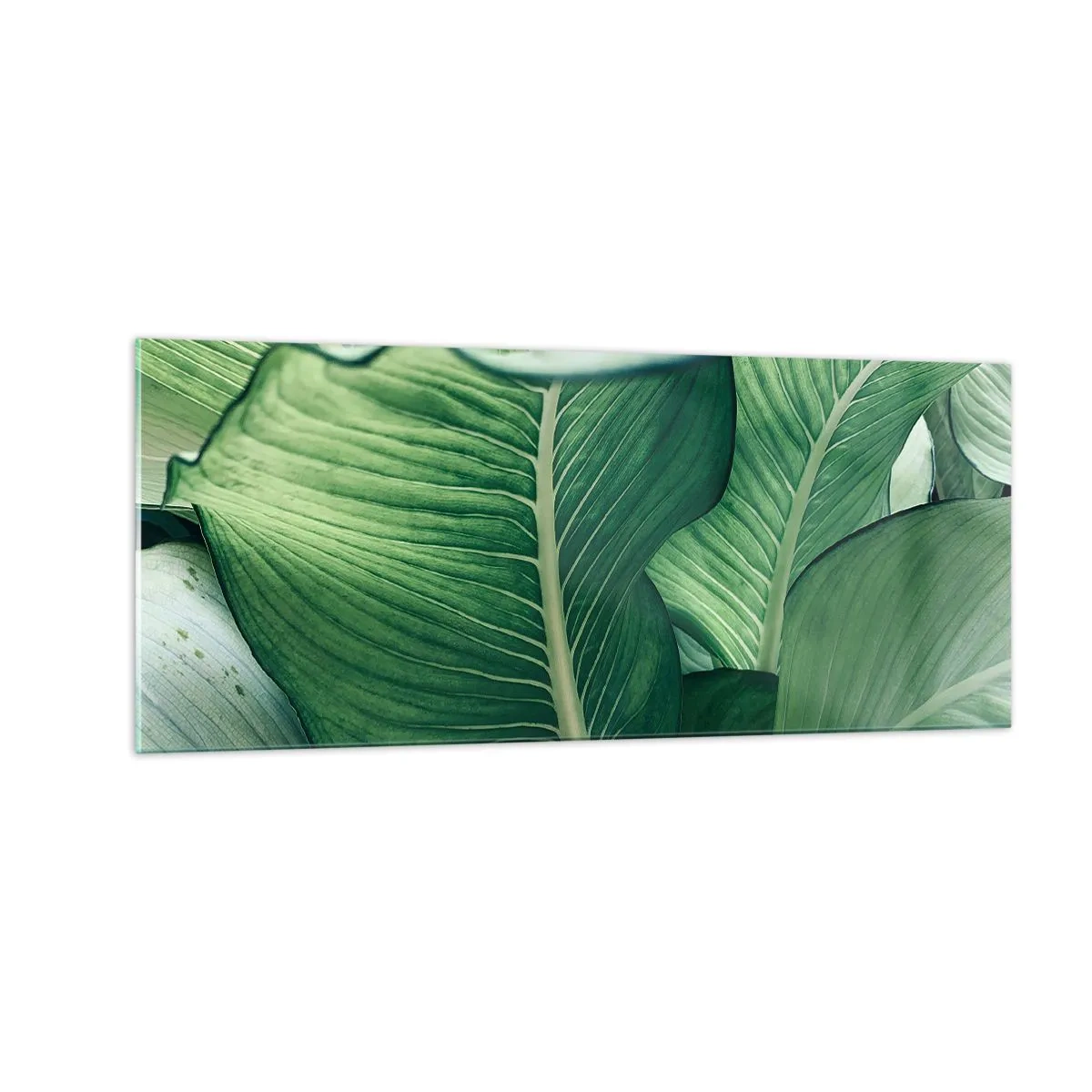 Quadro em vidro - Vida intensamente verde - 100x40 cm