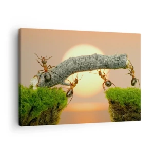 Quadro em tela - Formigas construindo uma ponte de galhos tendo como pano de fundo o pôr do sol. - 70x50cm - Trabalho alegre e colaborativo - Decoração de parede moderna para a sala de estar e quarto ARTTOR