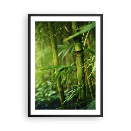 Pôster com moldura preta - Um bosque de bambu em tons de verde - 50x70cm - Conheça a vegetação  - Decoração de parede moderna para a sala de estar e quarto ARTTOR