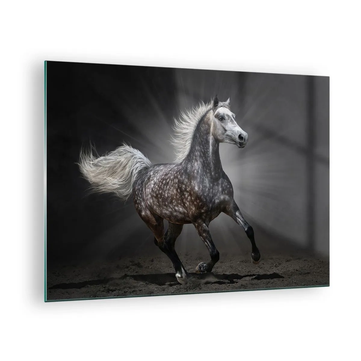 Quadro em vidro - Um cavalo galopando contra um fundo escuro com efeito de iluminação. - 70x50cm - O cinza é lindo - Decoração de parede moderna para a sala de estar e quarto ARTTOR