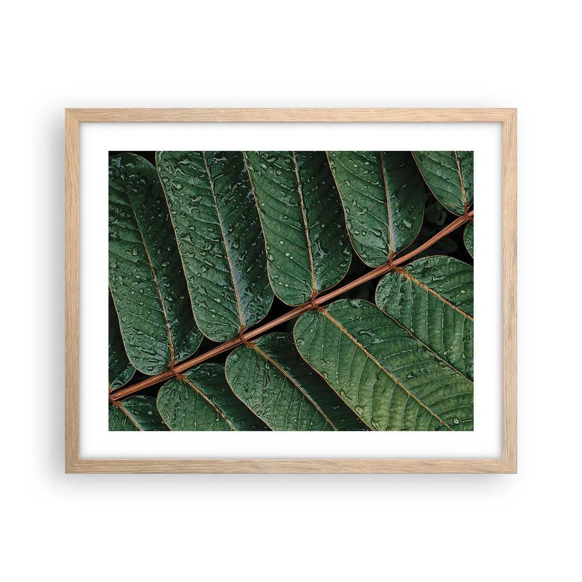 Pôster com moldura de carvalho claro - Num ritmo verde - 50x40 cm