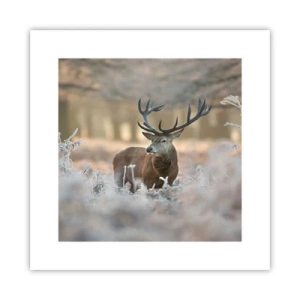 Pôster - Uma manhã fresca - 30x30 cm