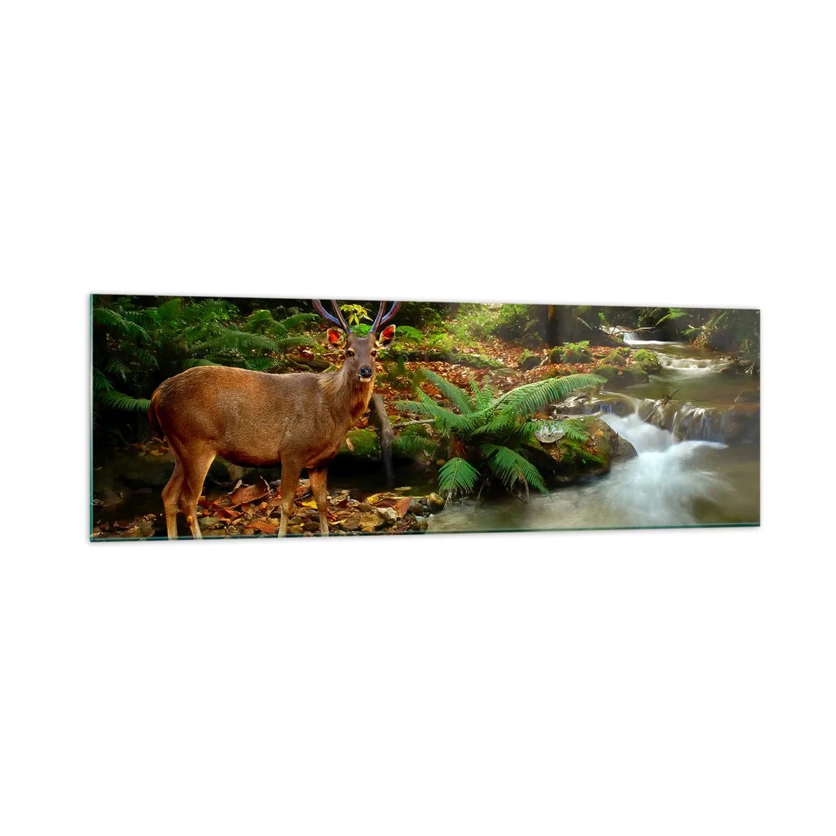 Quadro em vidro - Bem-vindo ao meu mundo - 160x50 cm