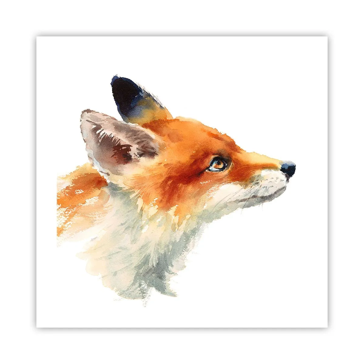 Pôster - Nunca é demais ter cuidado - 50x50 cm