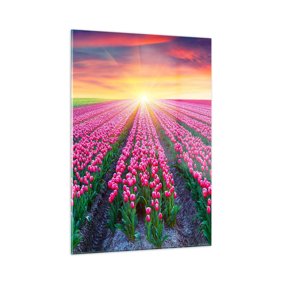 Quadro em vidro - Quinta da Beleza - 50x70 cm