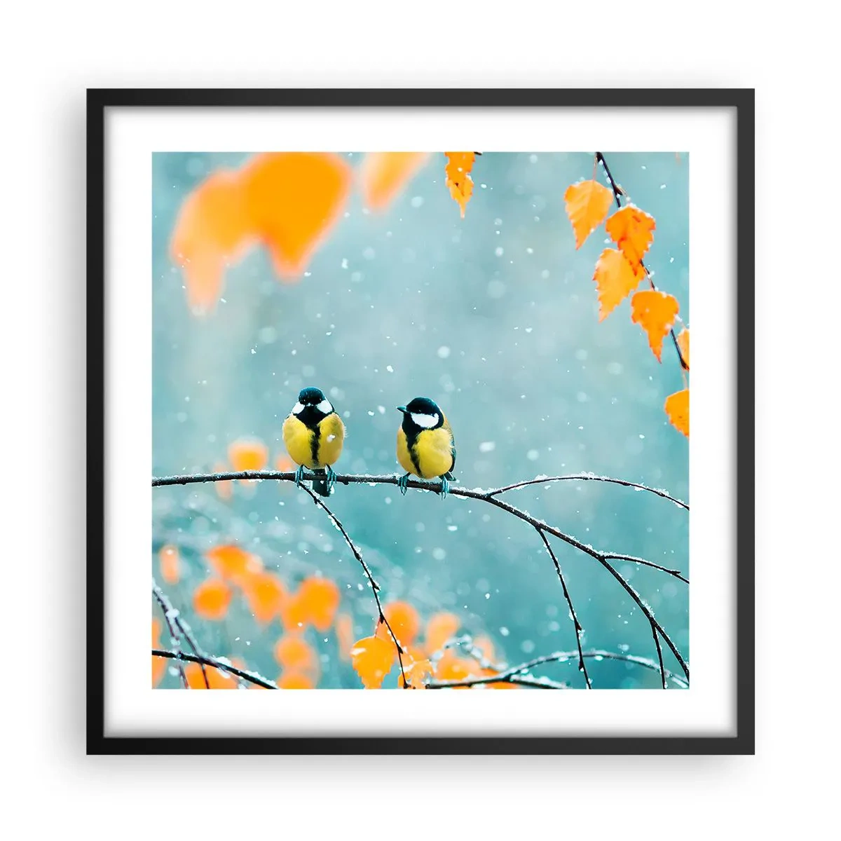 Pôster com moldura preta - Fofoca de pássaros - 50x50 cm