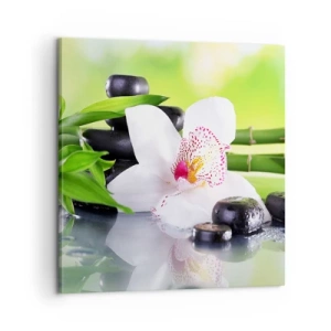 Quadro em tela - Frescor e vigor - 60x60 cm