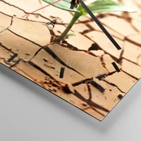 Mostrador com traços