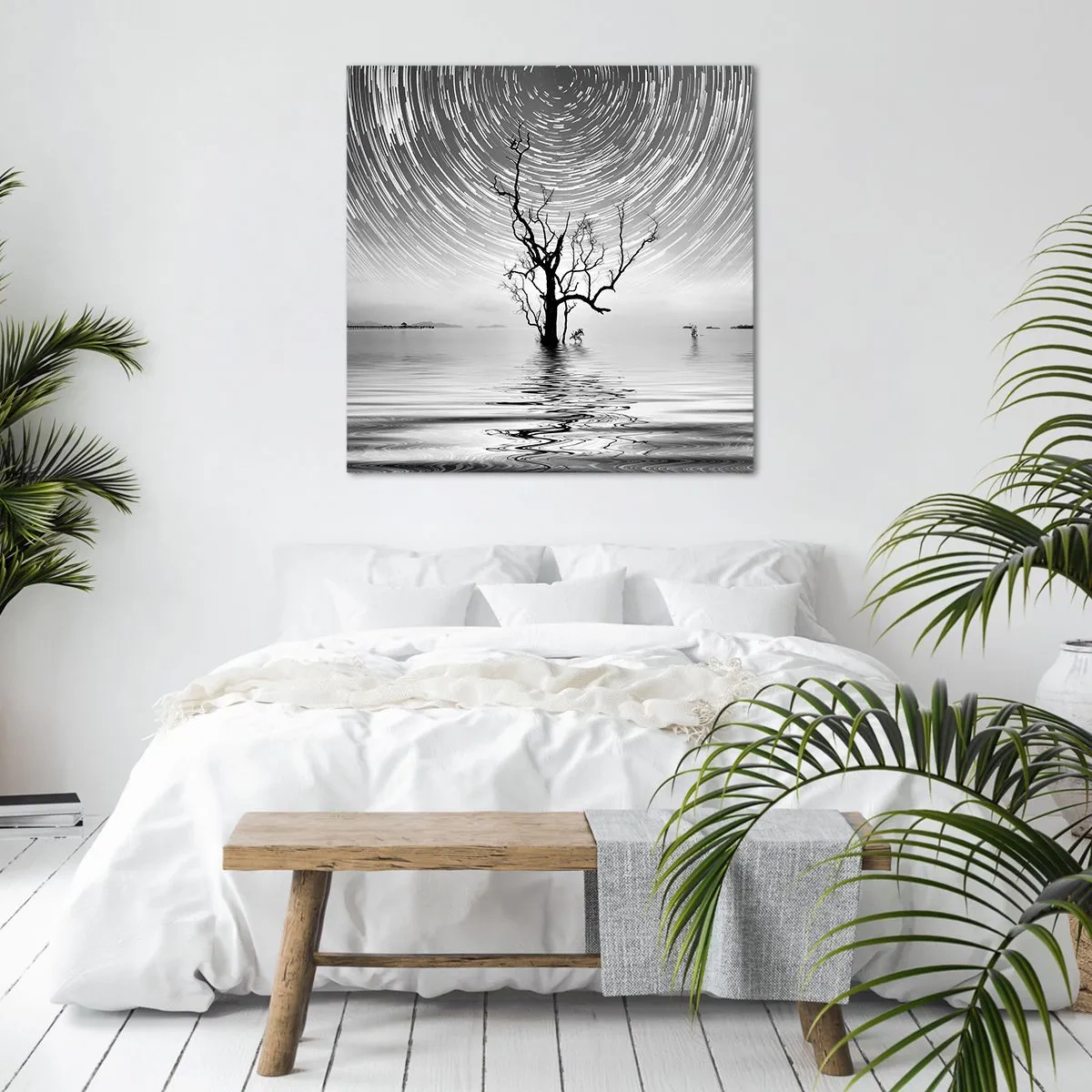 Quadro em tela - Sinfonia da natureza - 60x60 cm