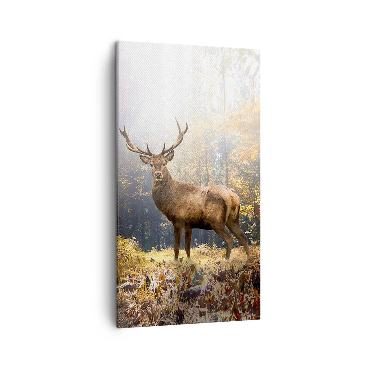 Quadro em tela - Em plena majestade - 45x80 cm