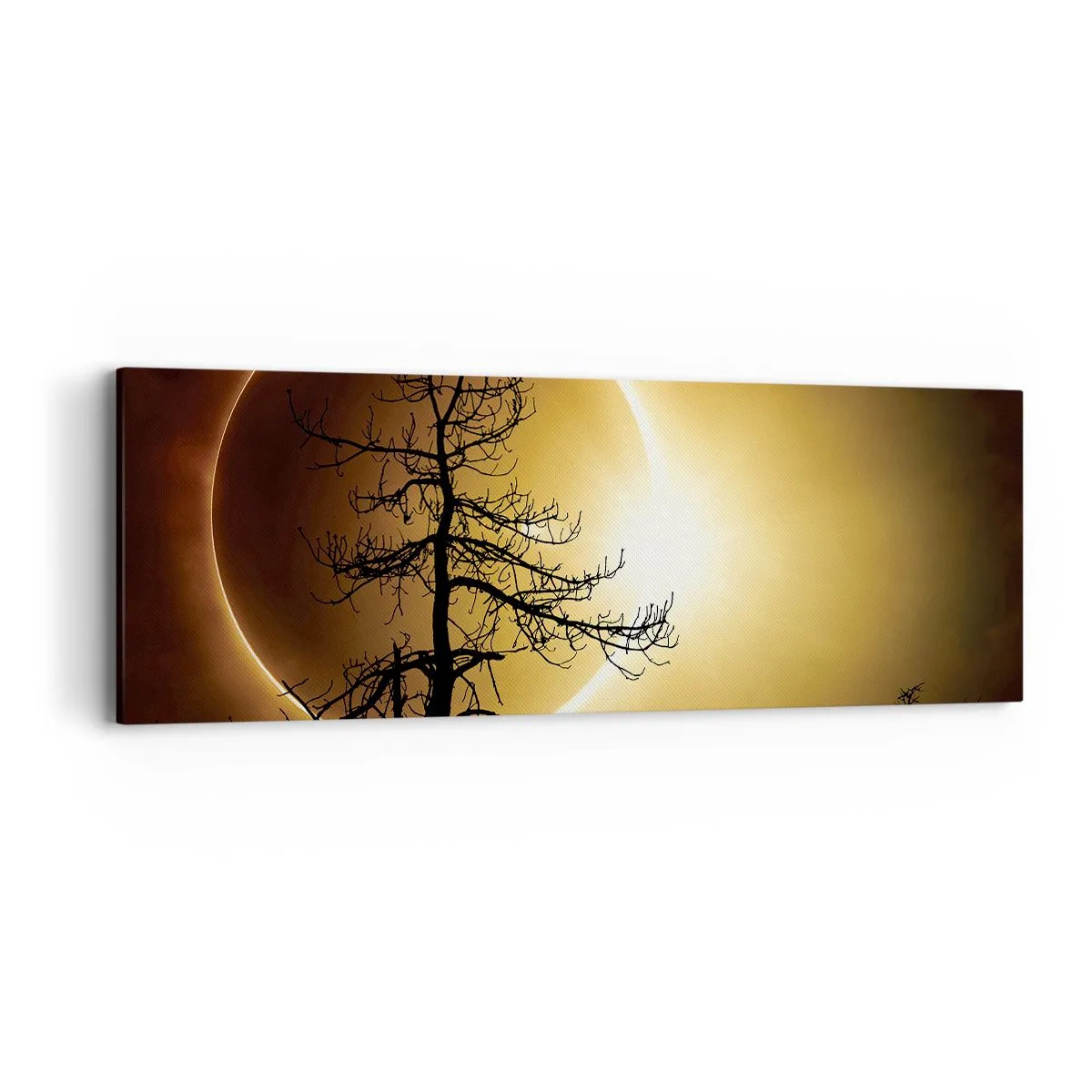 Quadro em tela - Eclipse total - 90x30 cm