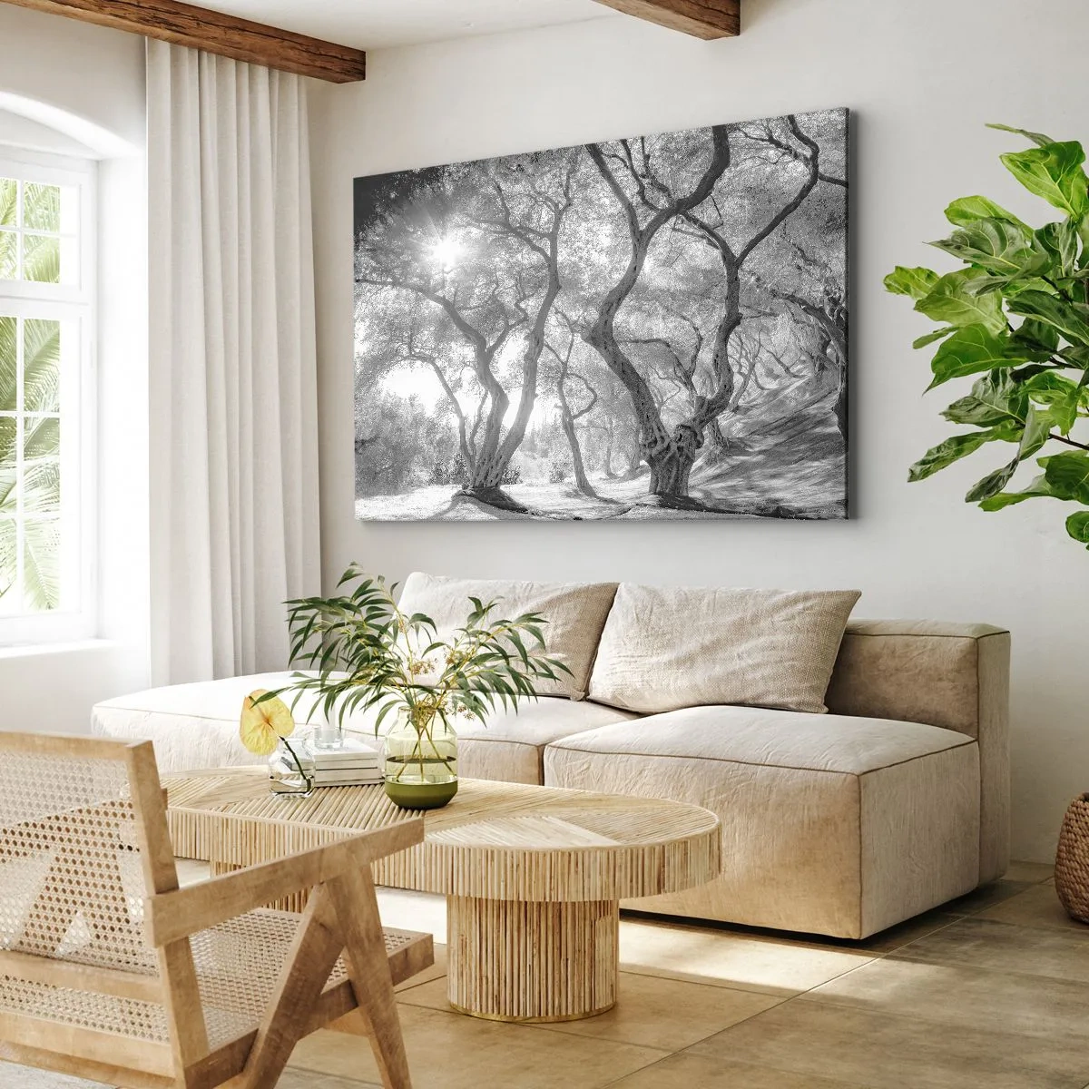 Quadro em tela - Vista em preto e branco de árvores em um olival com raios de sol - 70x50cm - No olival - Decoração de parede moderna para a sala de estar e quarto ARTTOR