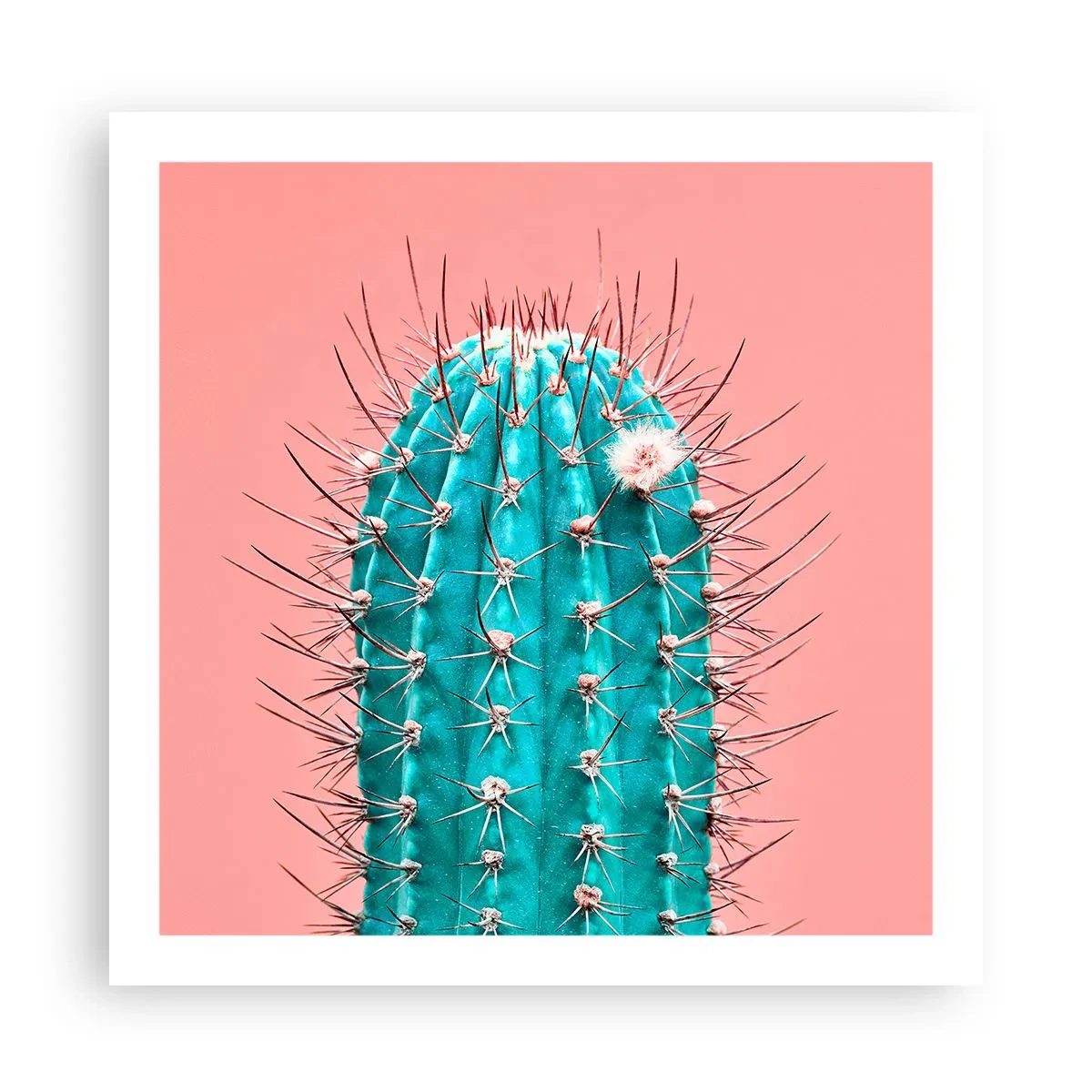 Pôster - Apenas olhe - 60x60 cm