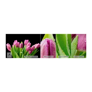 Amostra de papel de parede Premium Canvas - Alegria lilás da primavera - Flores, Tulipas, Buquê de flores - 100x30 cm