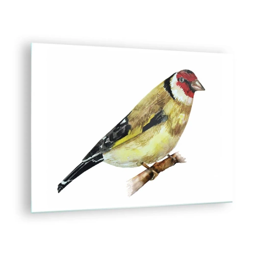 Quadro em vidro - Pássaro em aquarela em um galho em cores delicadas - 70x50cm - Retrato de um pássaro - Decoração de parede moderna para a sala de estar e quarto ARTTOR