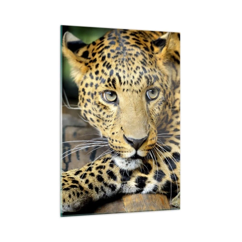 Quadro em vidro - Não tenha medo, venha - 50x70 cm
