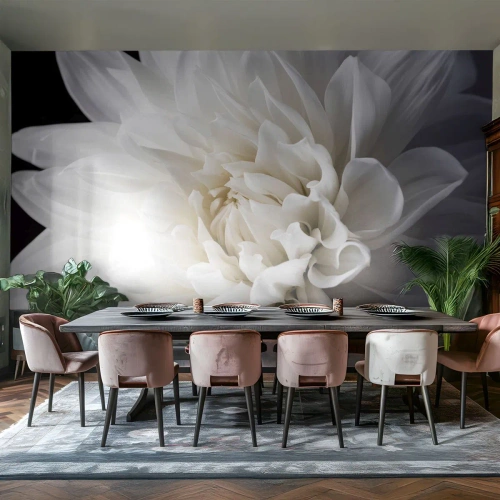 Papel de Parede Premium Sand - Manhã da noiva - Flor, Dália, Natureza - 150x105 cm