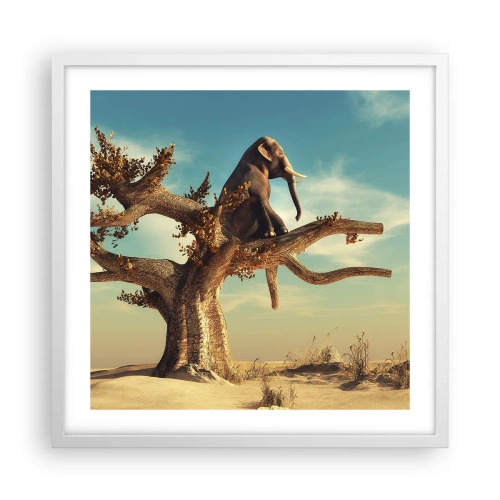 Pôster em moldura branca - Um novo ponto de vista - 50x50 cm