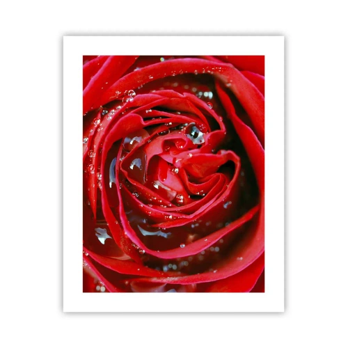 Pôster - Em gotas de orvalho - 40x50 cm