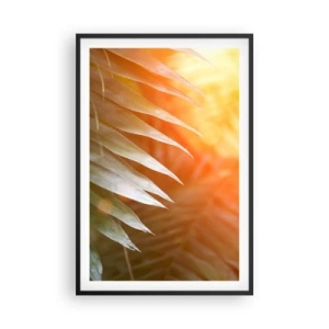 Pôster com moldura preta - Manhã na selva - 61x91 cm