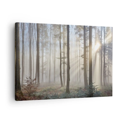 Quadro em tela - Uma floresta em meio a uma leve neblina com raios de sol brilhando através das árvores - 70x50cm - O nevoeiro também acordou - Decoração de parede moderna para a sala de estar e quarto ARTTOR