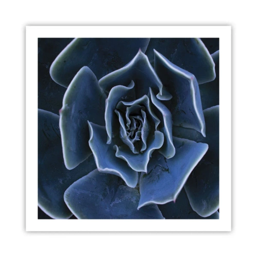 Pôster - Flor do deserto - 60x60 cm