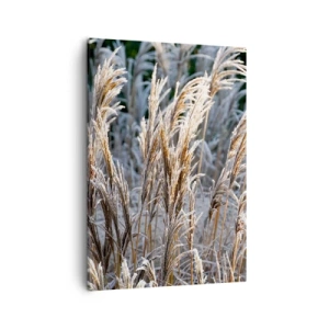 Quadro em tela - Decorado com a geada - 50x70 cm