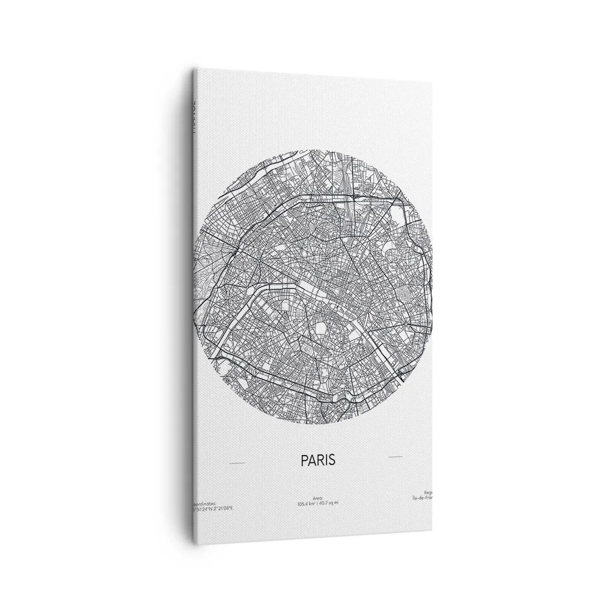 Quadro em tela - Anatomia de Paris - 45x80 cm