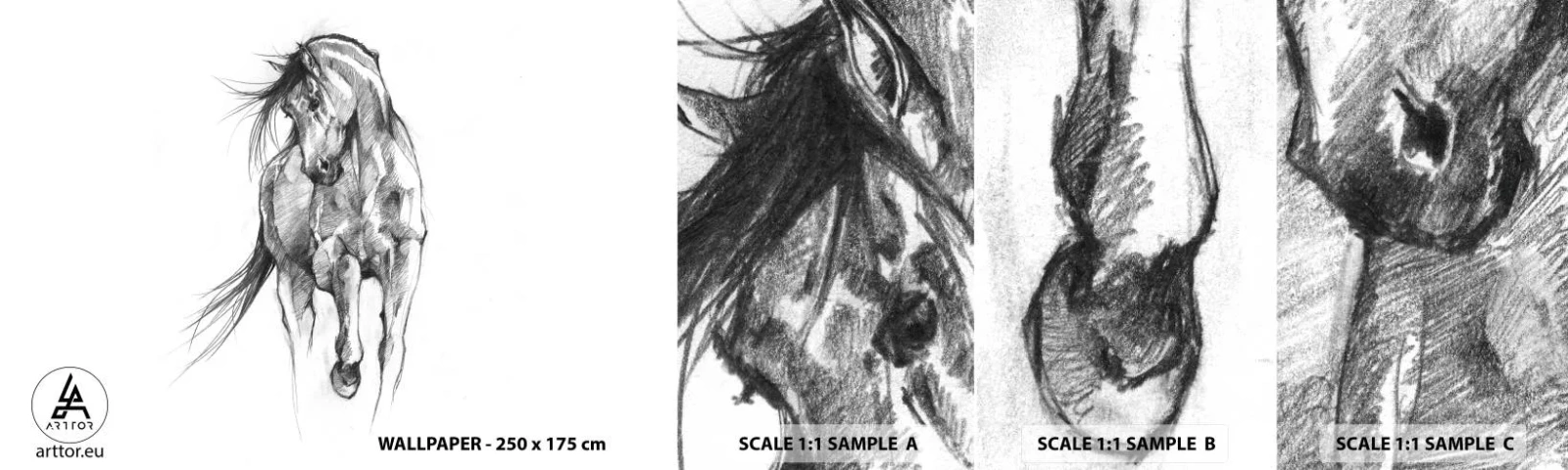 Amostra de papel de parede autocolante Deluxe Sticker - Num trote gracioso - Cavalo, Gráficos, Animais - 100x30 cm