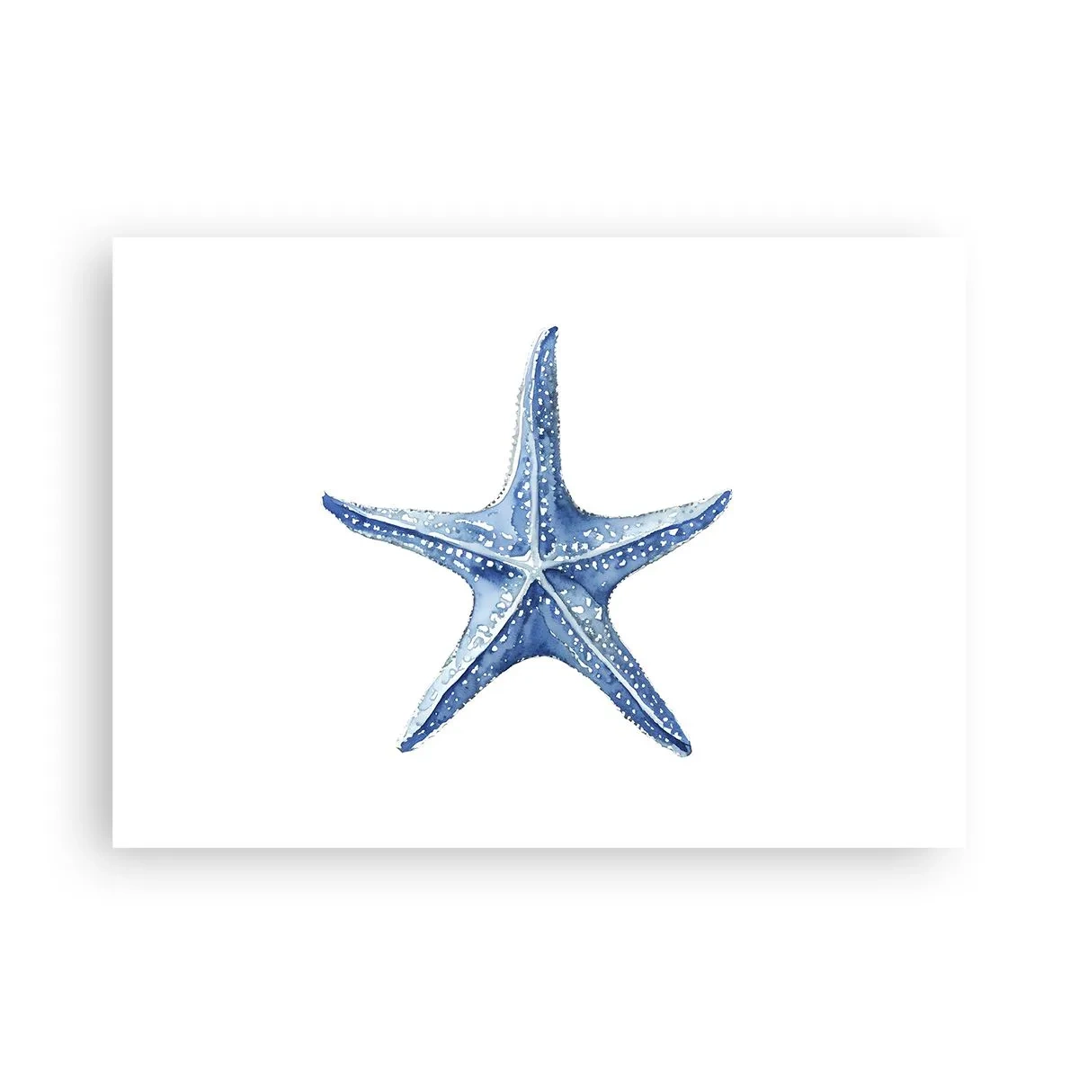 Pôster - Estrela do mar - 70x50 cm