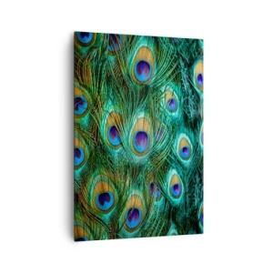 Quadro em tela - Um olhar de pavão - 70x100 cm