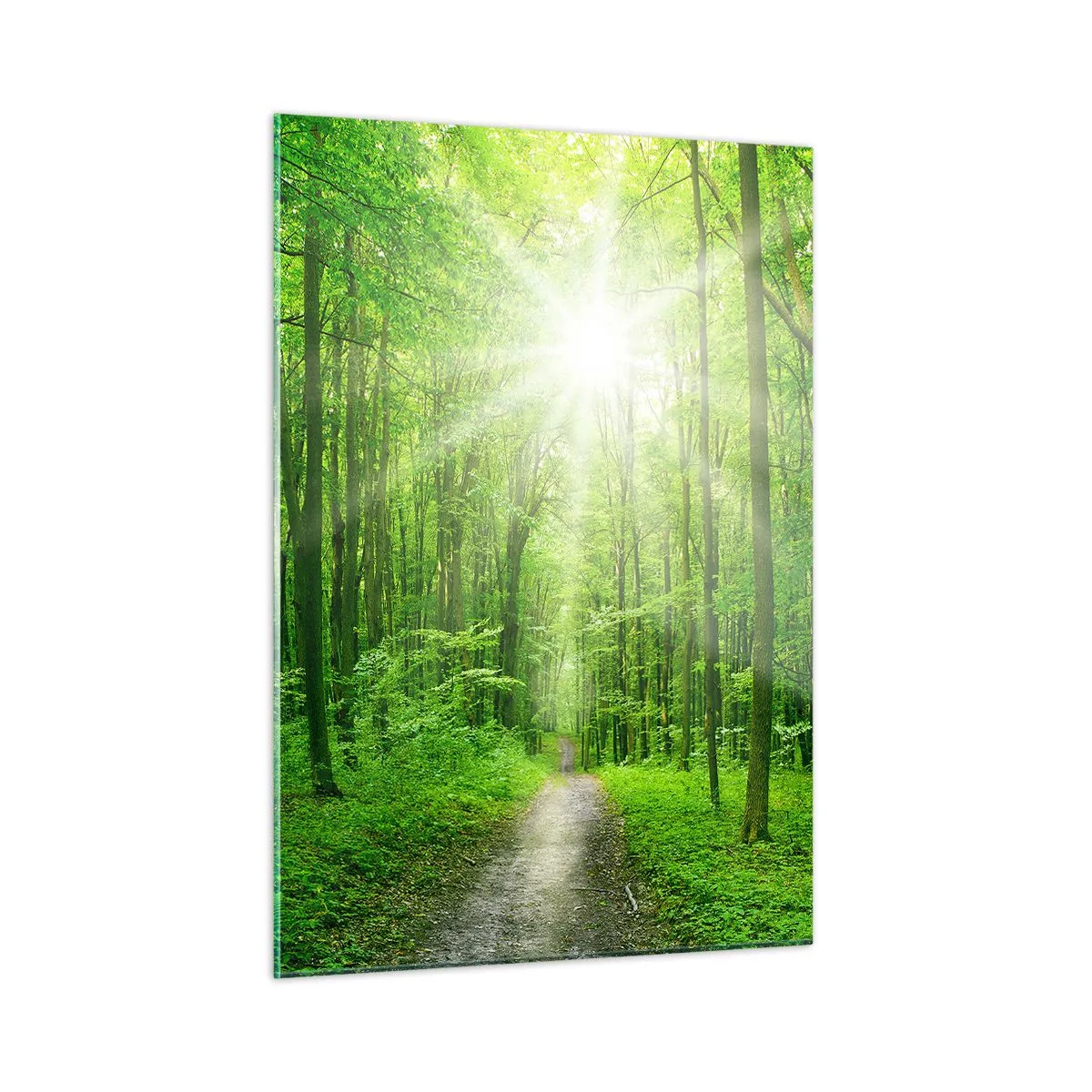 Quadro em vidro - Catedral Verde - 50x70 cm