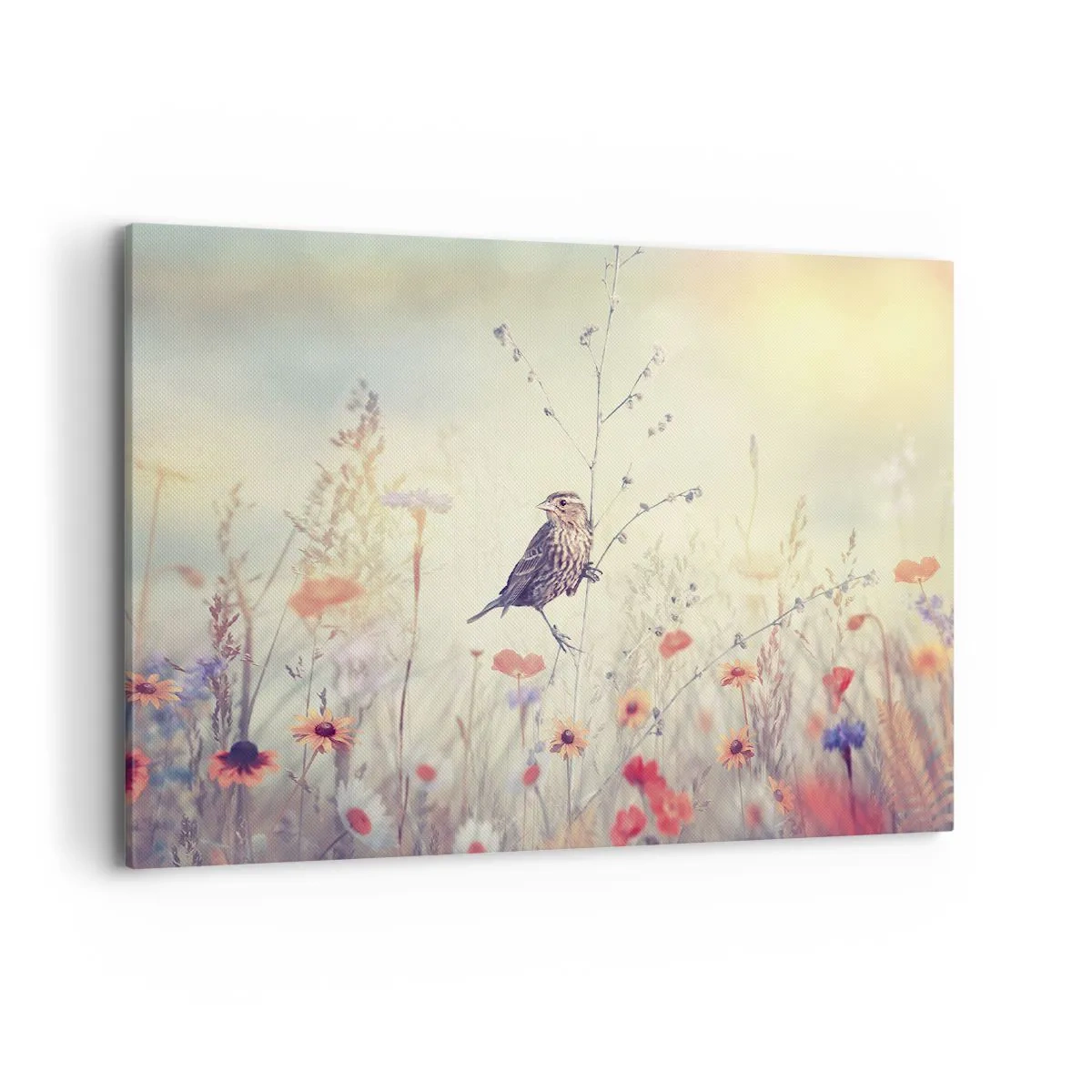 Quadro em tela - Retrato de um pássaro com um prado no fundo - 100x70 cm