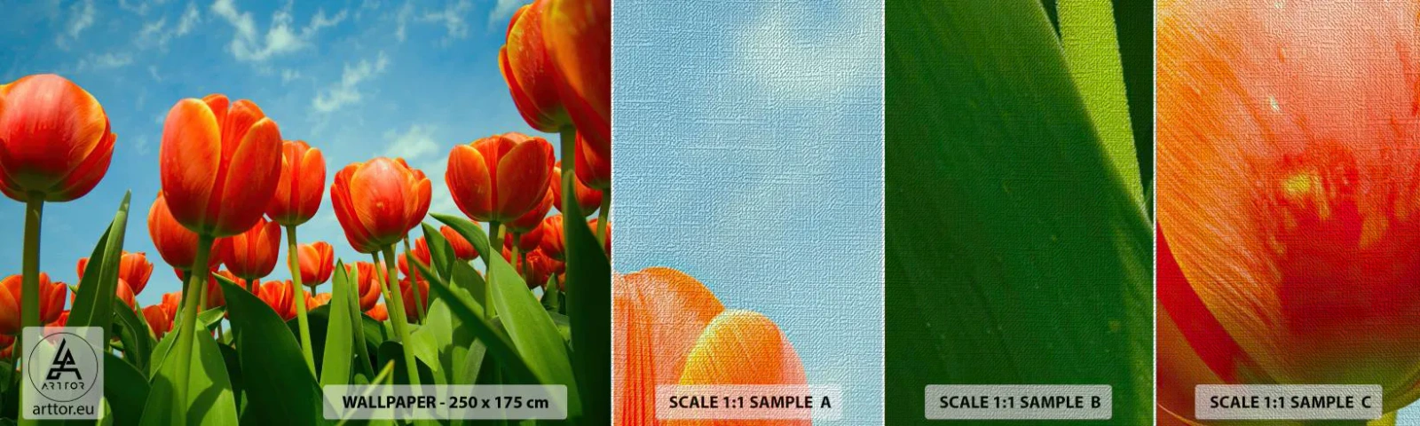 Amostra de papel de parede Premium Canvas - Além do céu azul, nada mais é necessário na vida - Flores, Tulipas, Natureza - 100x30 cm