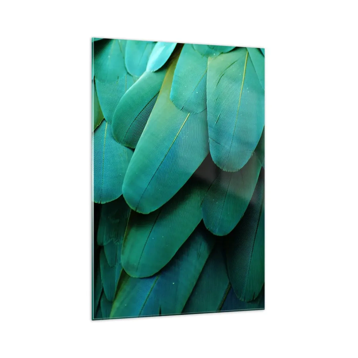 Quadro em vidro - Precisão de papagaio - 70x100 cm