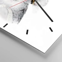 Mostrador com traços