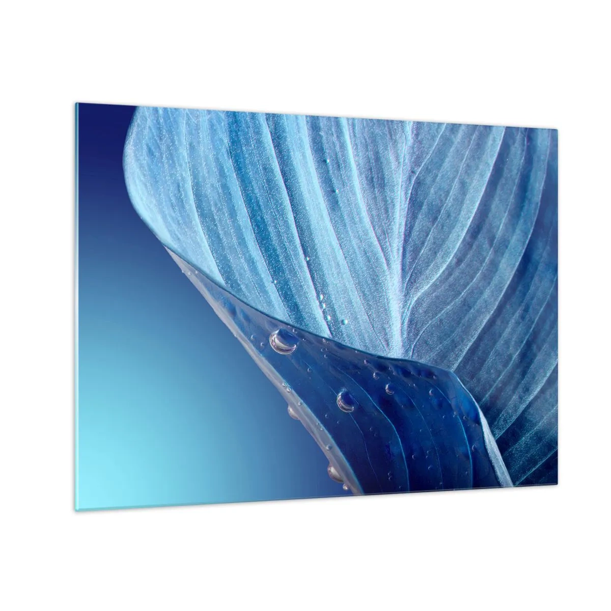 Quadro em vidro - Uma folha em tons de azul com gotas de água sobre um fundo gradiente. - 70x50cm - Gotas escondidas no azul - Decoração de parede moderna para a sala de estar e quarto ARTTOR