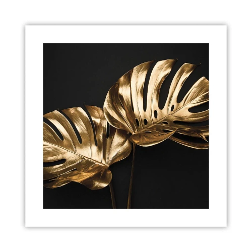 Pôster - Tesouros da natureza - 40x40 cm