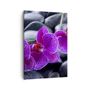 Quadro em tela - As pedras de iluminaram de deleite - 50x70 cm