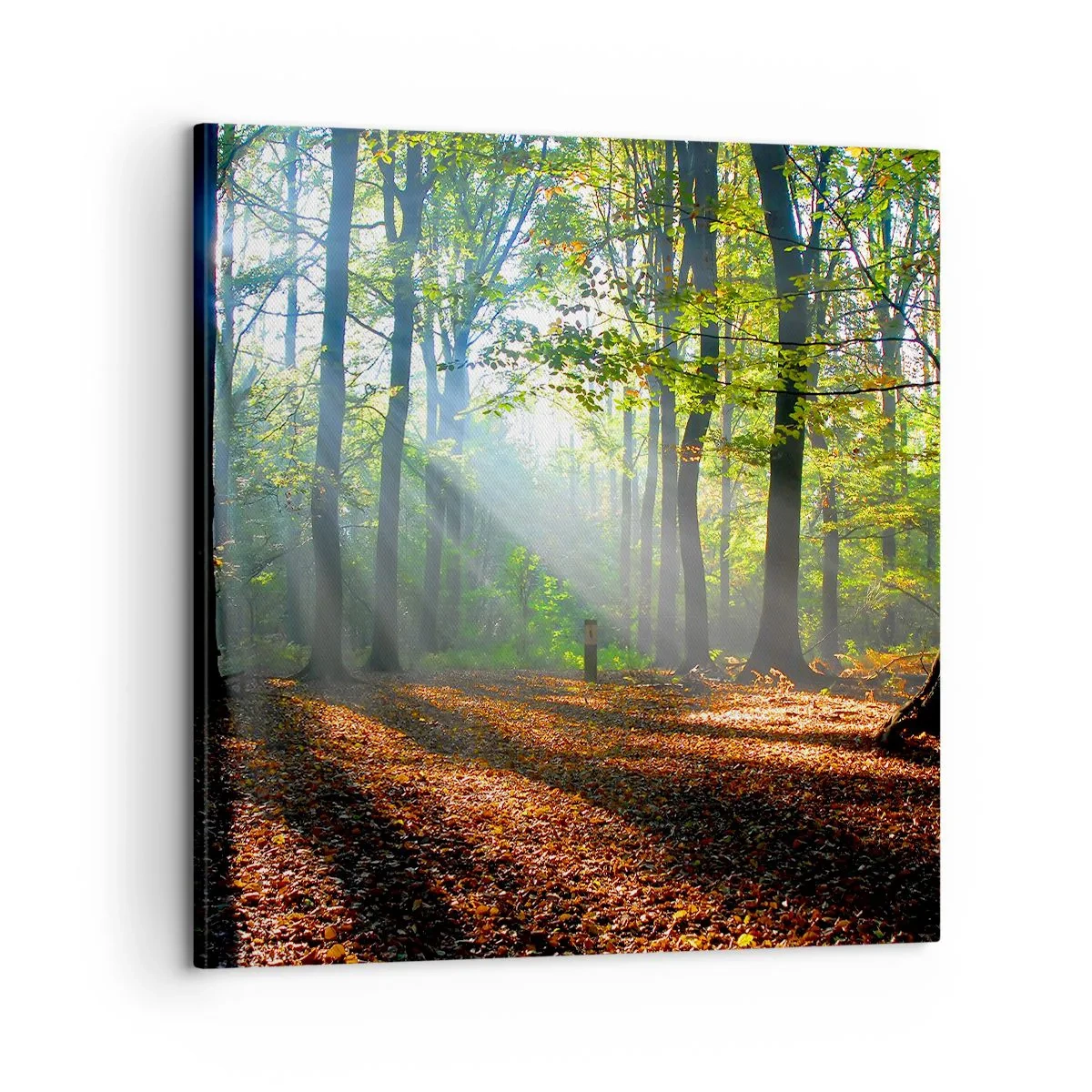 Quadro em tela - Luzes e sombras - 60x60 cm