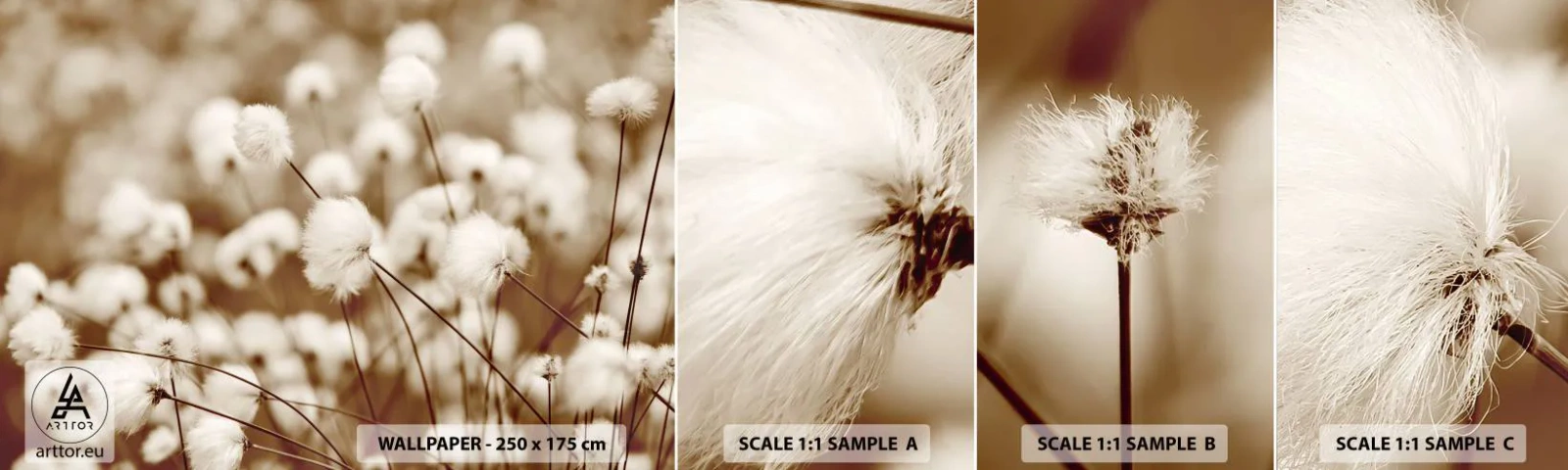 Amostra de papel de parede autocolante Deluxe Sticker - Campos felpudos - Flor de algodão, Flor, Galho de algodão - 100x30 cm