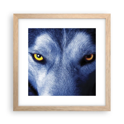 Pôster com moldura de carvalho claro - Olhar hipnotizante - 30x30 cm