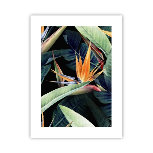 Pôster - Flores ardentes dos trópicos - 30x40 cm