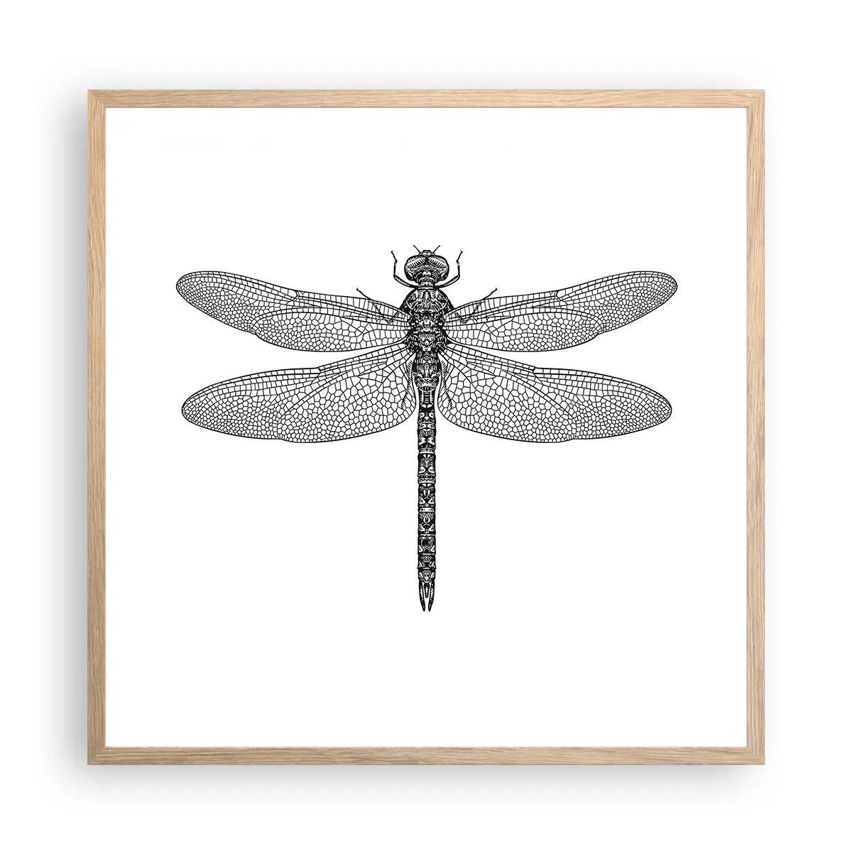 Pôster com moldura de carvalho claro - Precisão da natureza - 60x60 cm