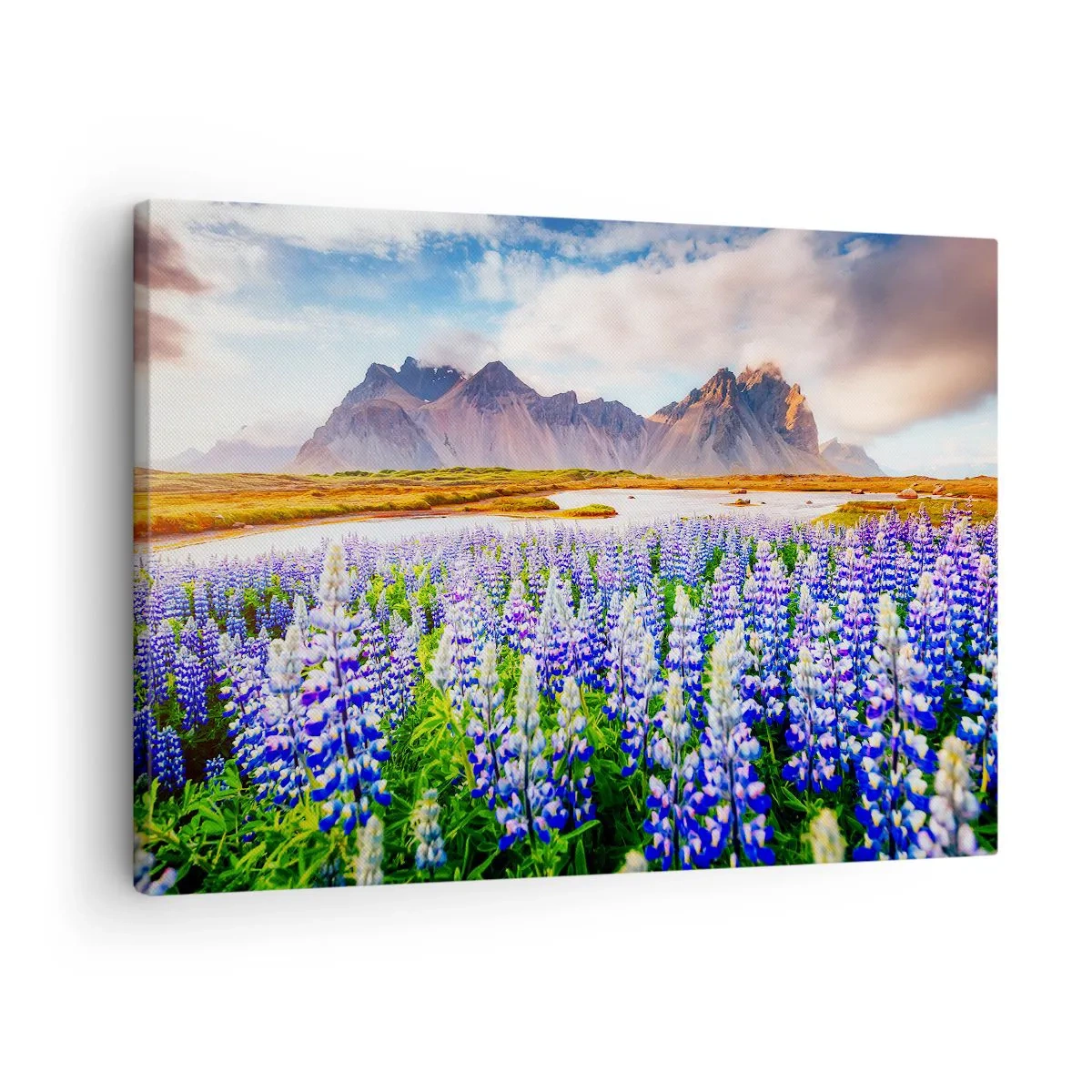 Quadro em tela - Flores em uma paisagem montanhosa com um céu pitoresco - 70x50cm - Força e severidade ao lado da suavidade - Decoração de parede moderna para a sala de estar e quarto ARTTOR